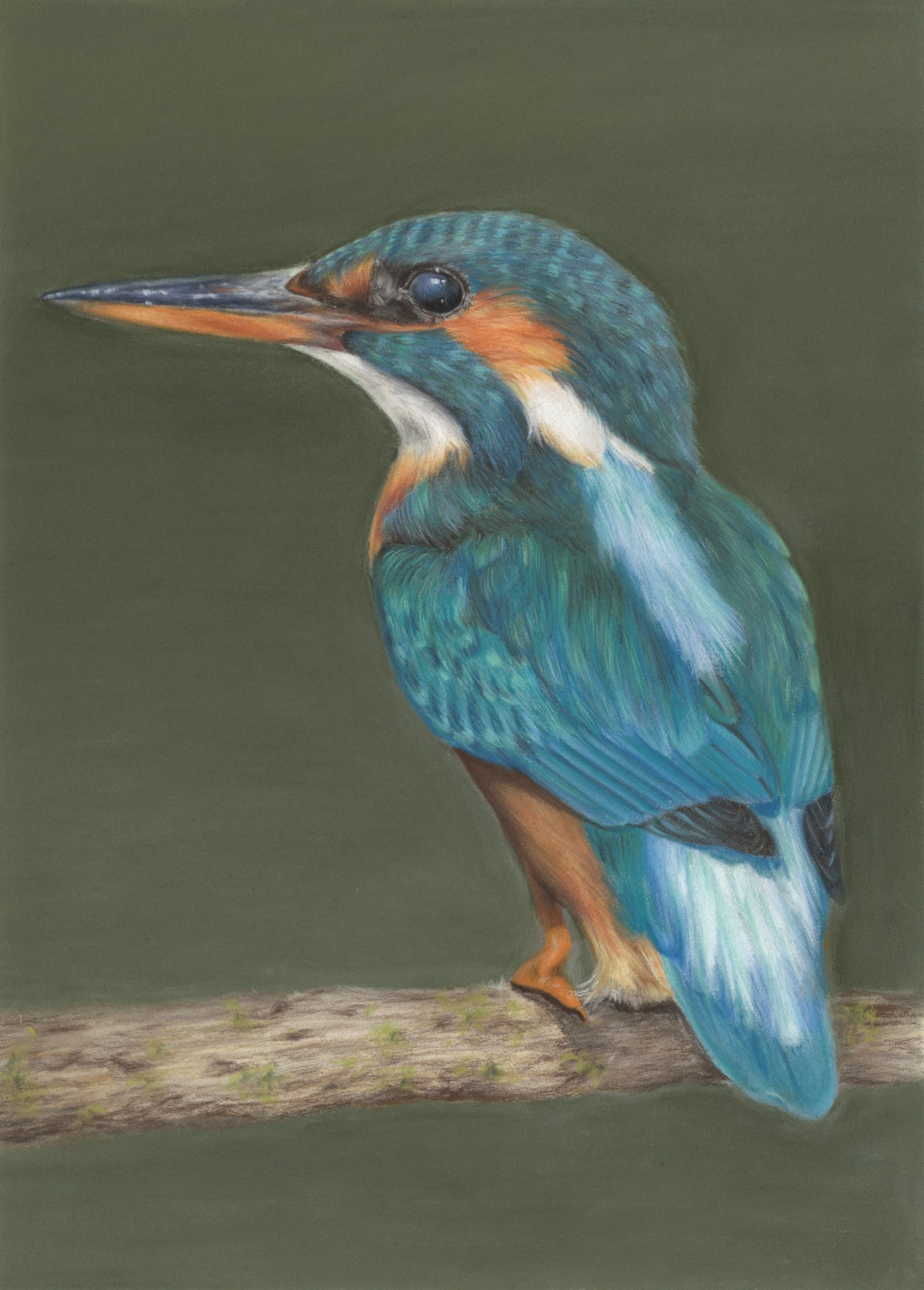 Kingfisher