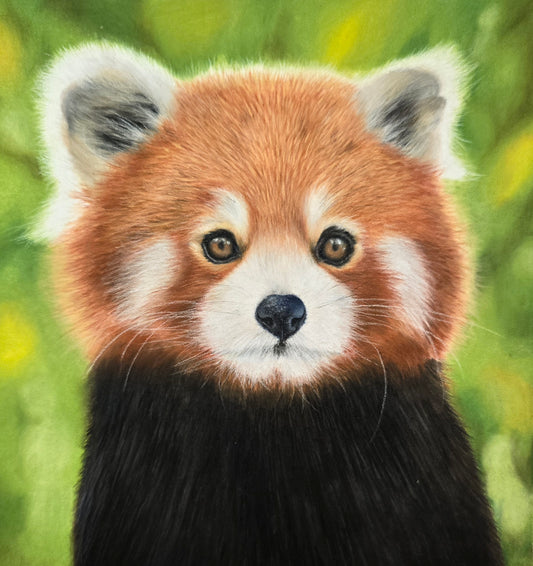 Red Panda