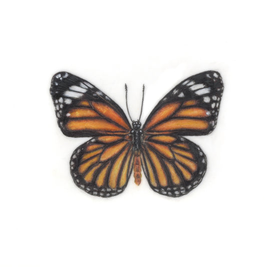 Monarch Butterfly